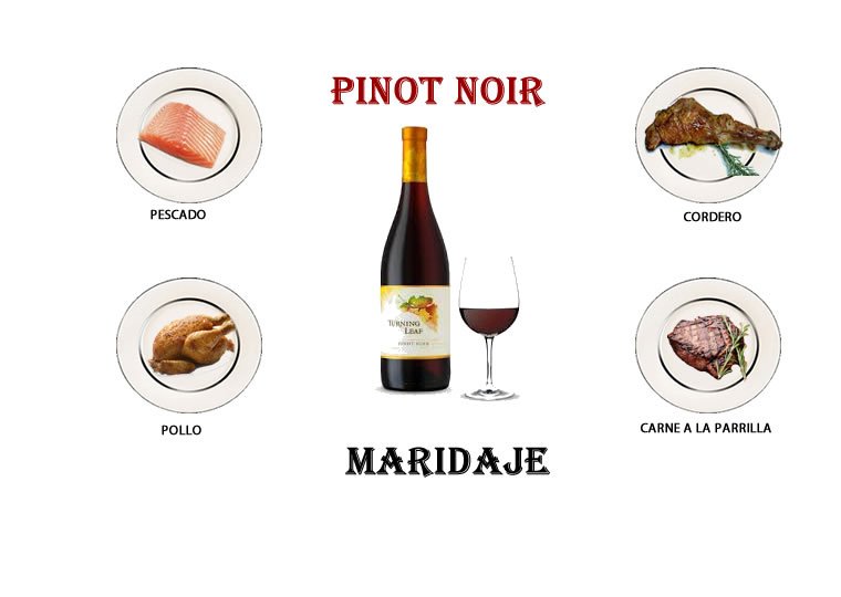 maridaje vino pinot noir